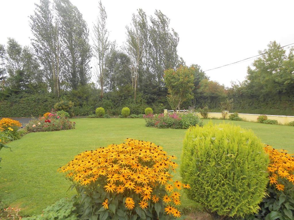 Gallows View Bed & Breakfast Банратті Номер фото